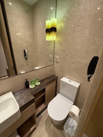 Toilet is a bit cramped