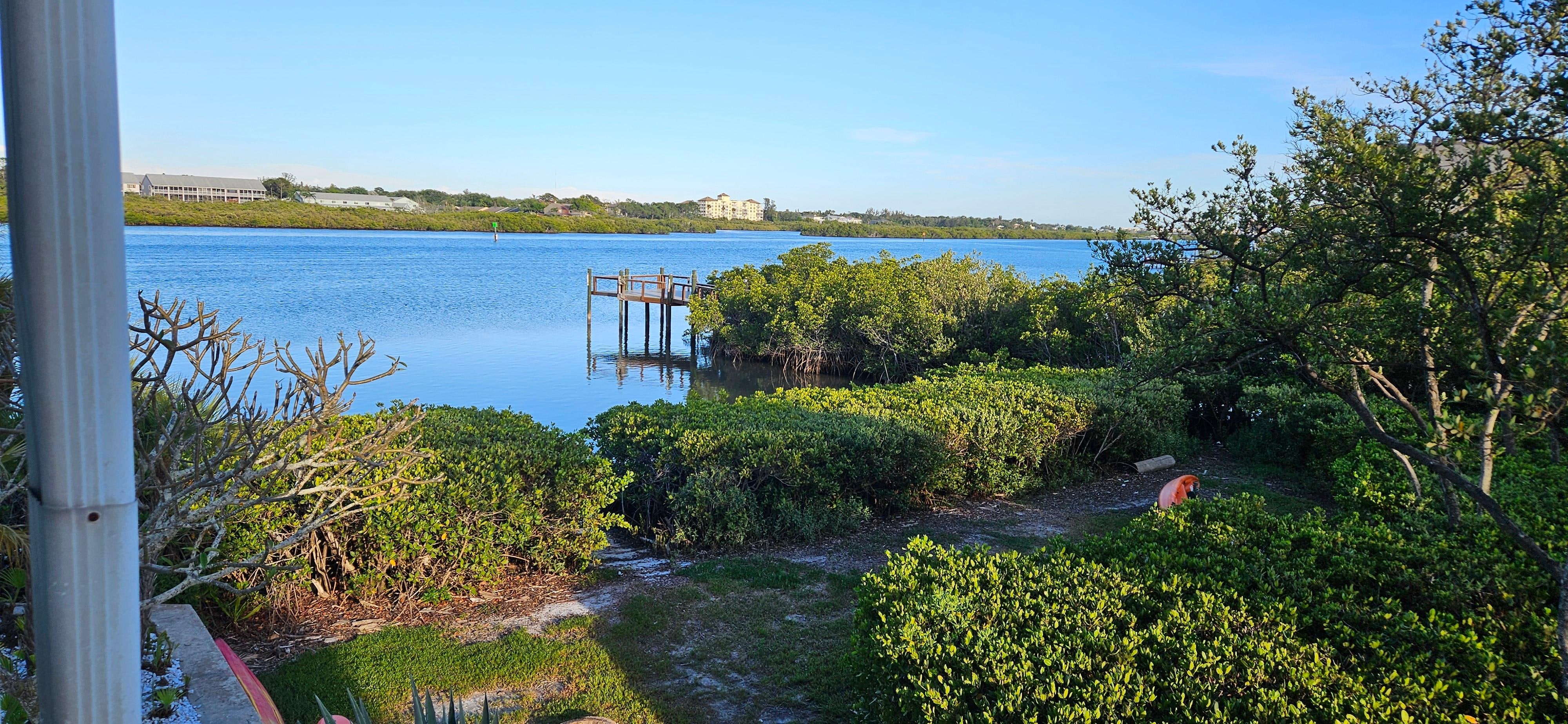 Waterway: Dolphins sighted