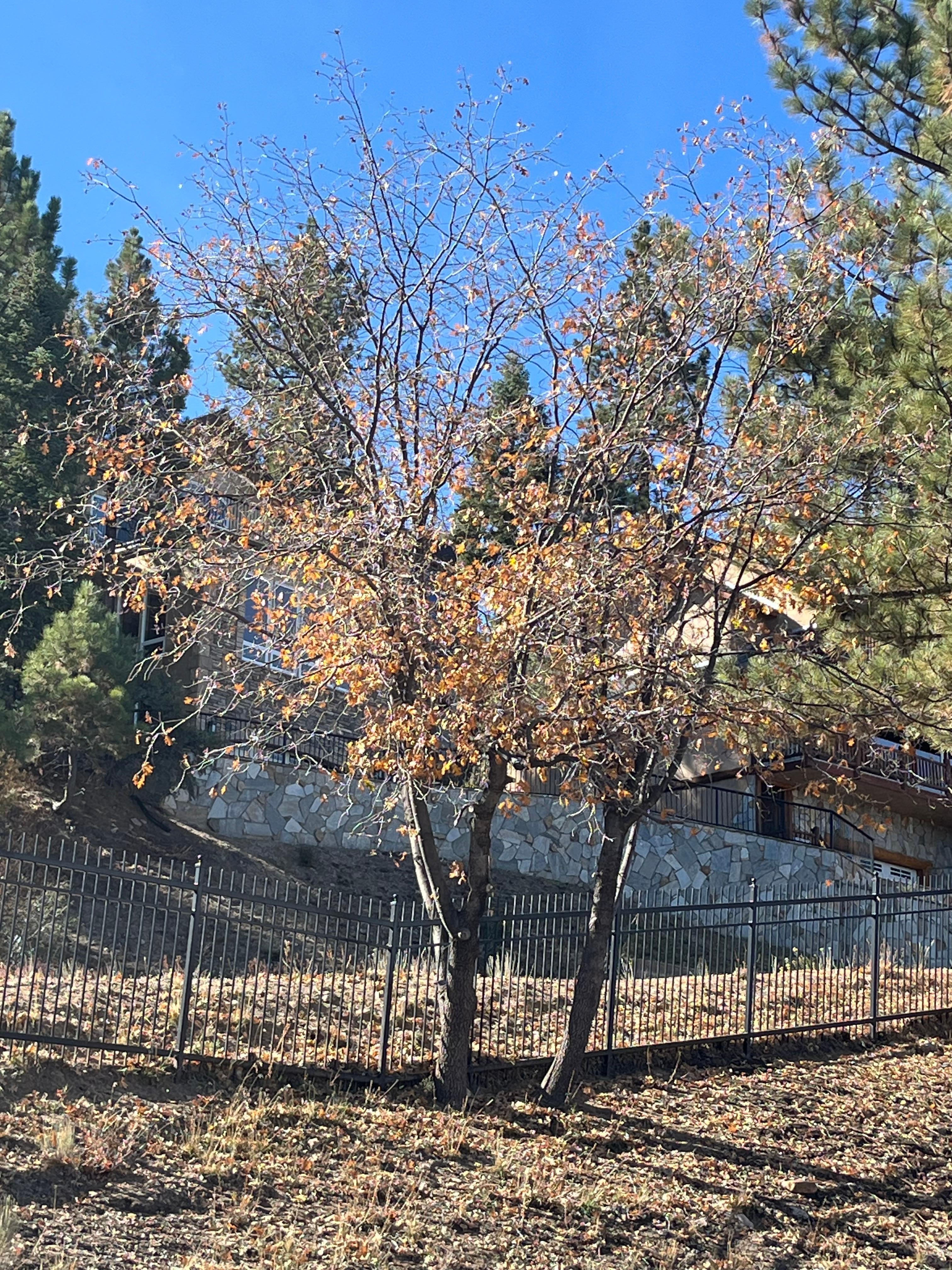 Outside in our balcony 