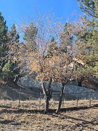 Outside in our balcony