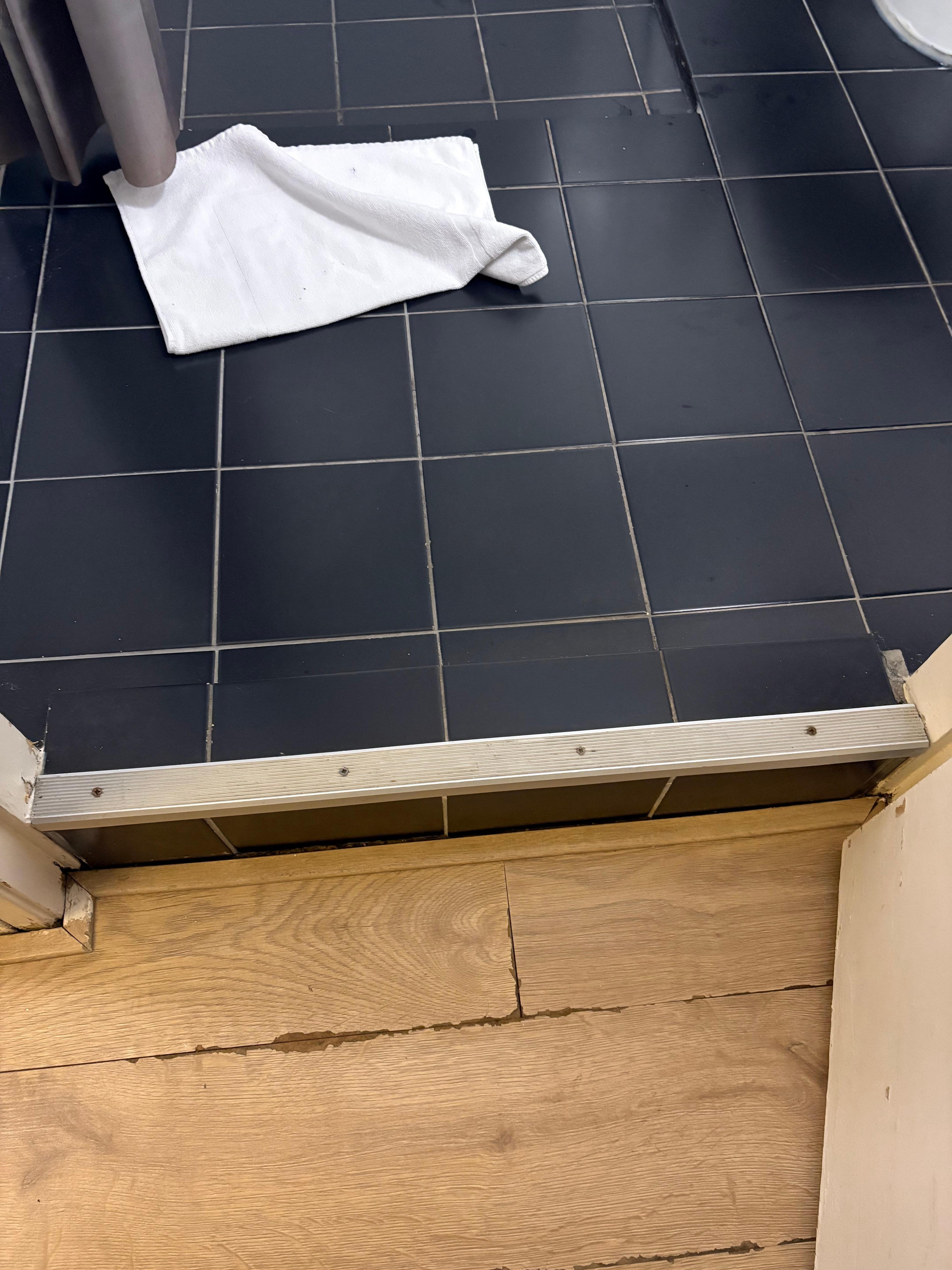 step up into bathroom
Note flooring also