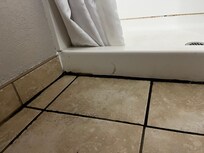 Bathroom floor needs some cleaning.