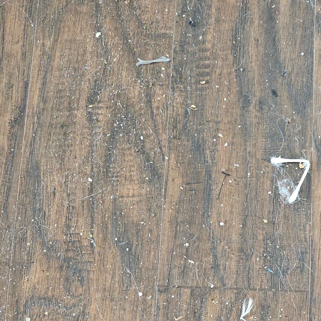 example of one bedroom floor  