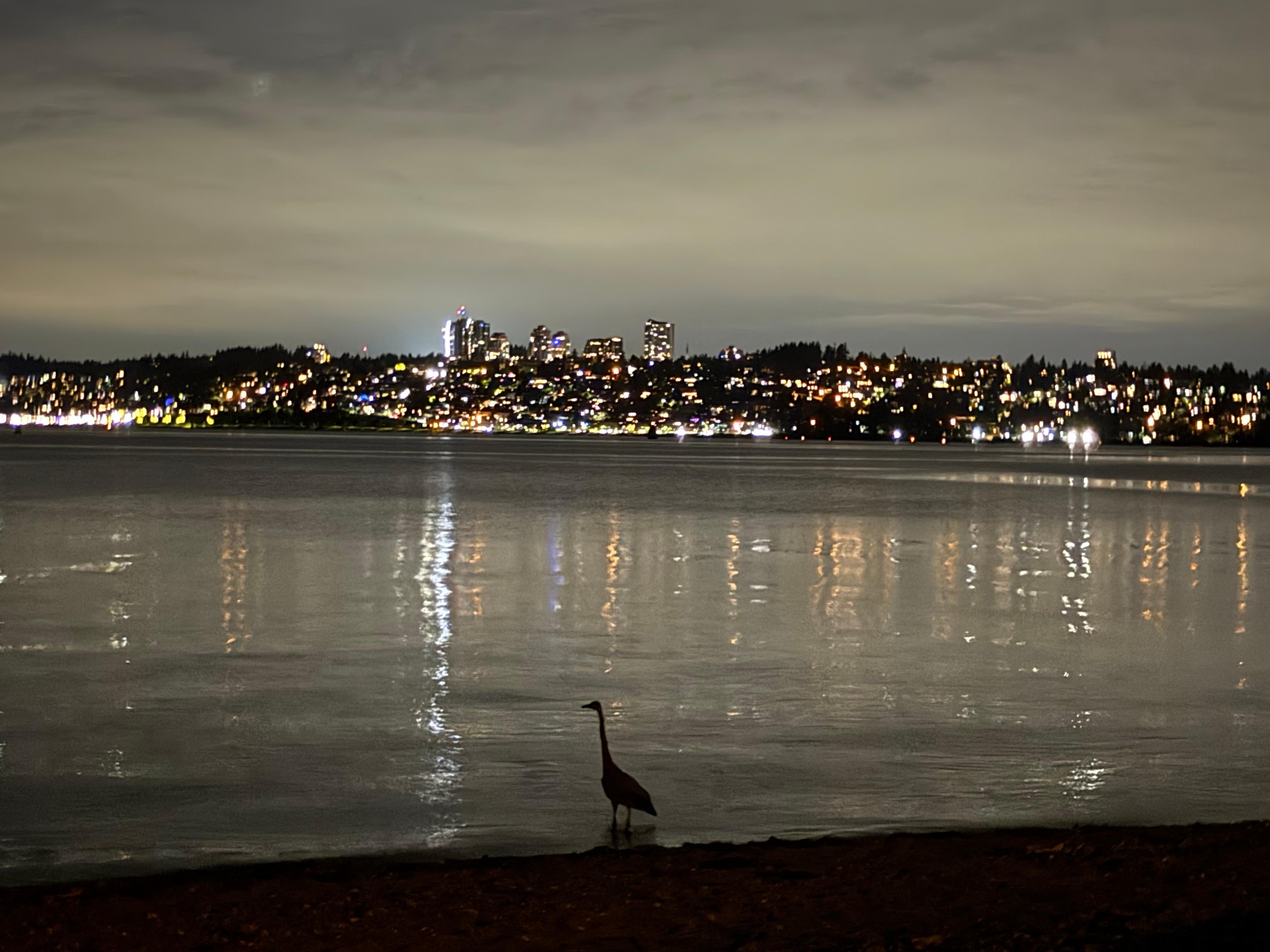 View from the property at night