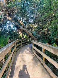 Path to the beach