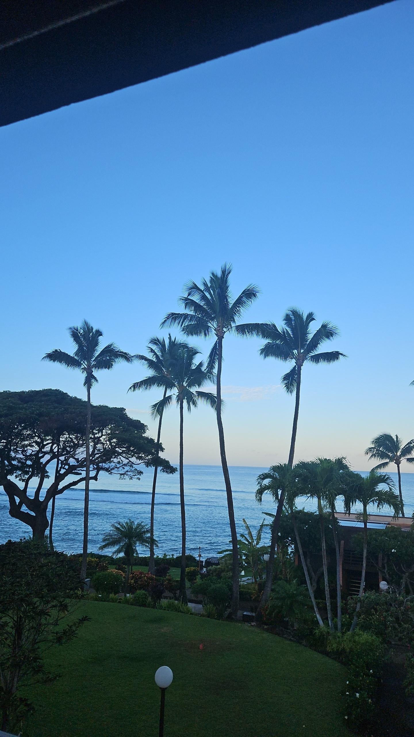 Morning view from the lanai