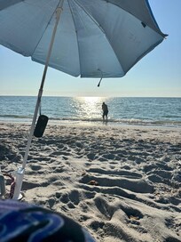 Shelling and listening to the KC Chiefs