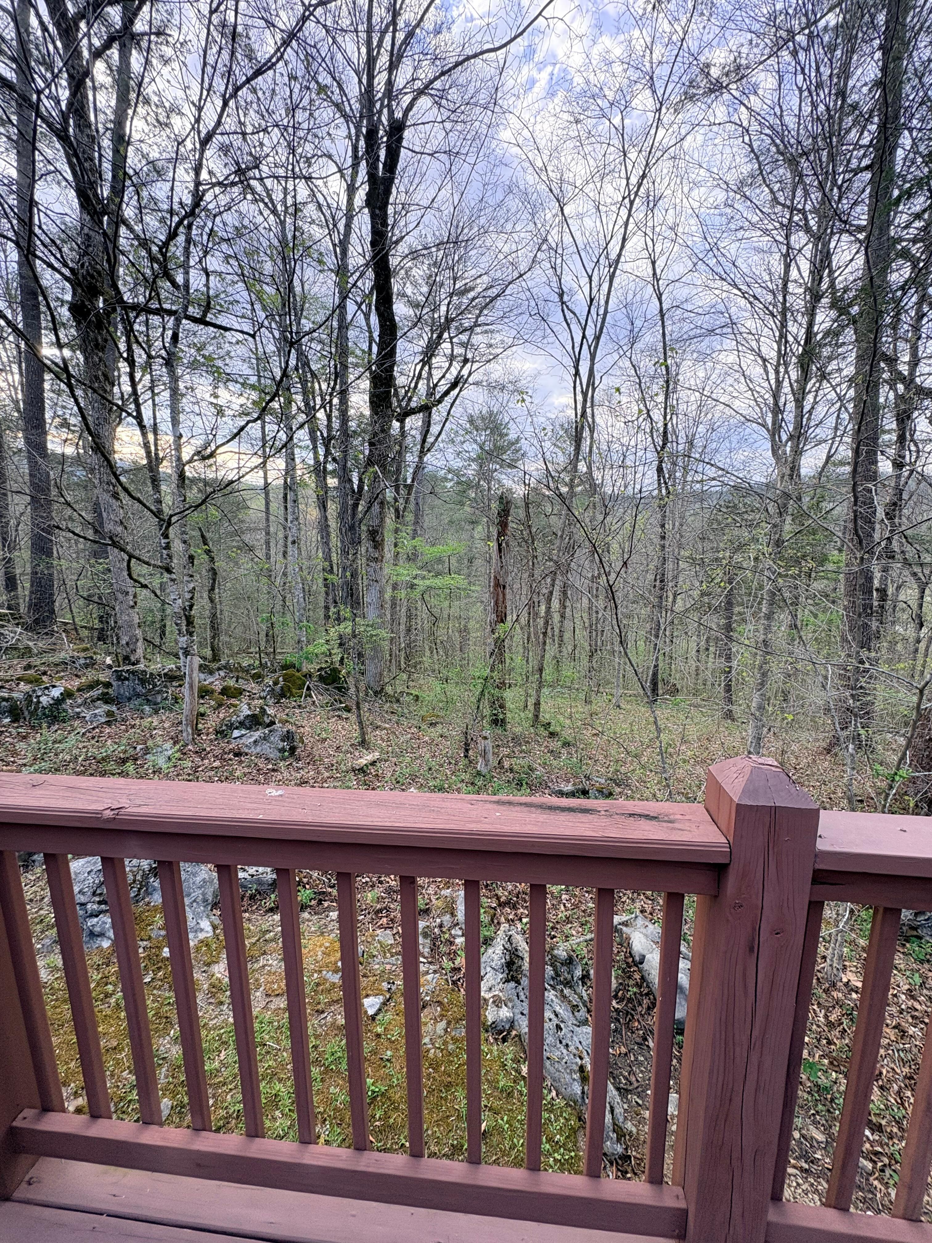 Surrounded by nature! 