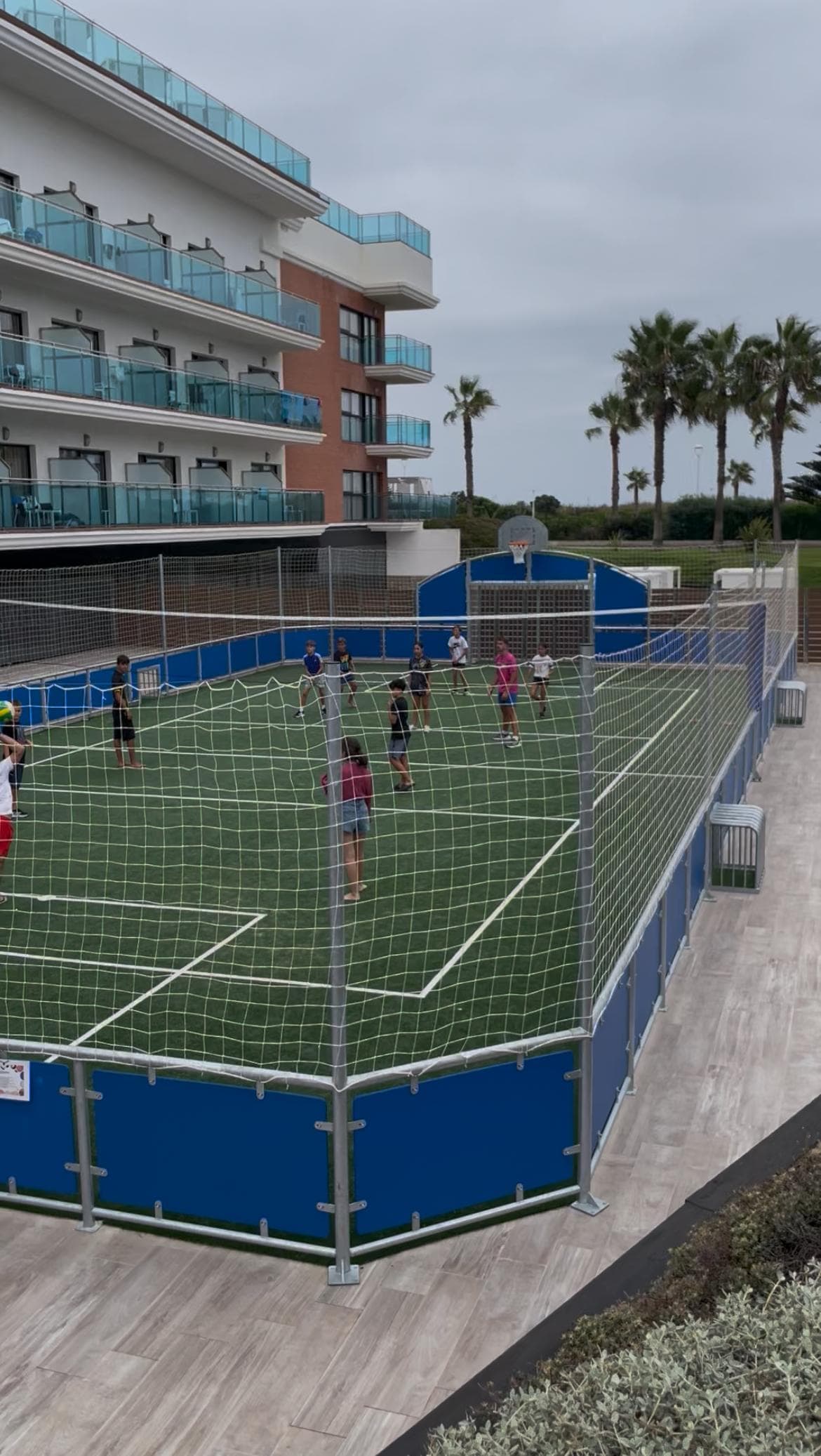 Actividades deportivas diarias 