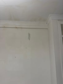 Water damage and mold on the walls in master bedroom