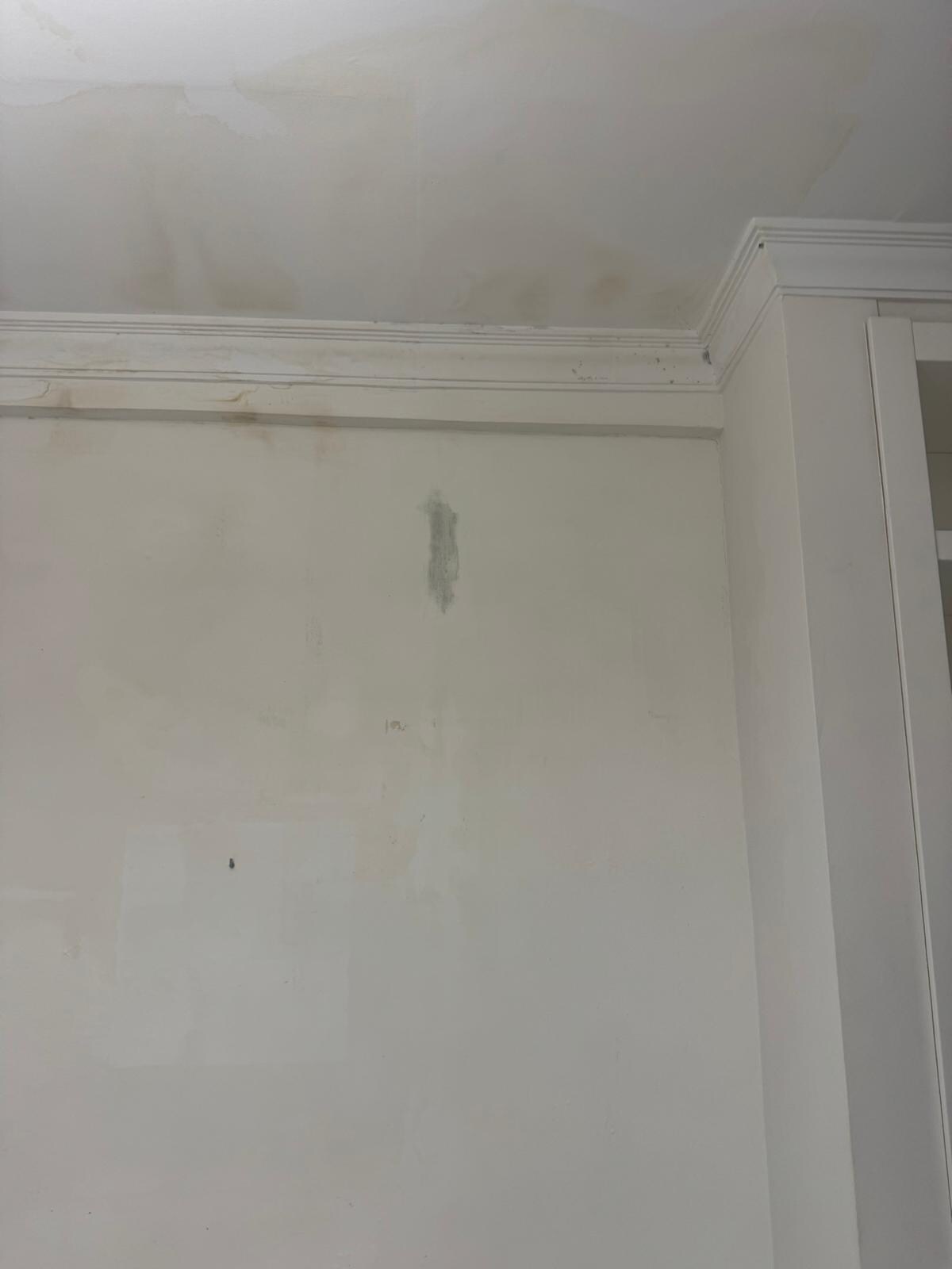 Water damage and mold on the walls in master bedroom