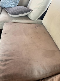 Outdoor furniture needs cleaning.