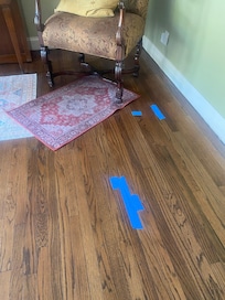 Flooring lifted w dry rot may be due to termites