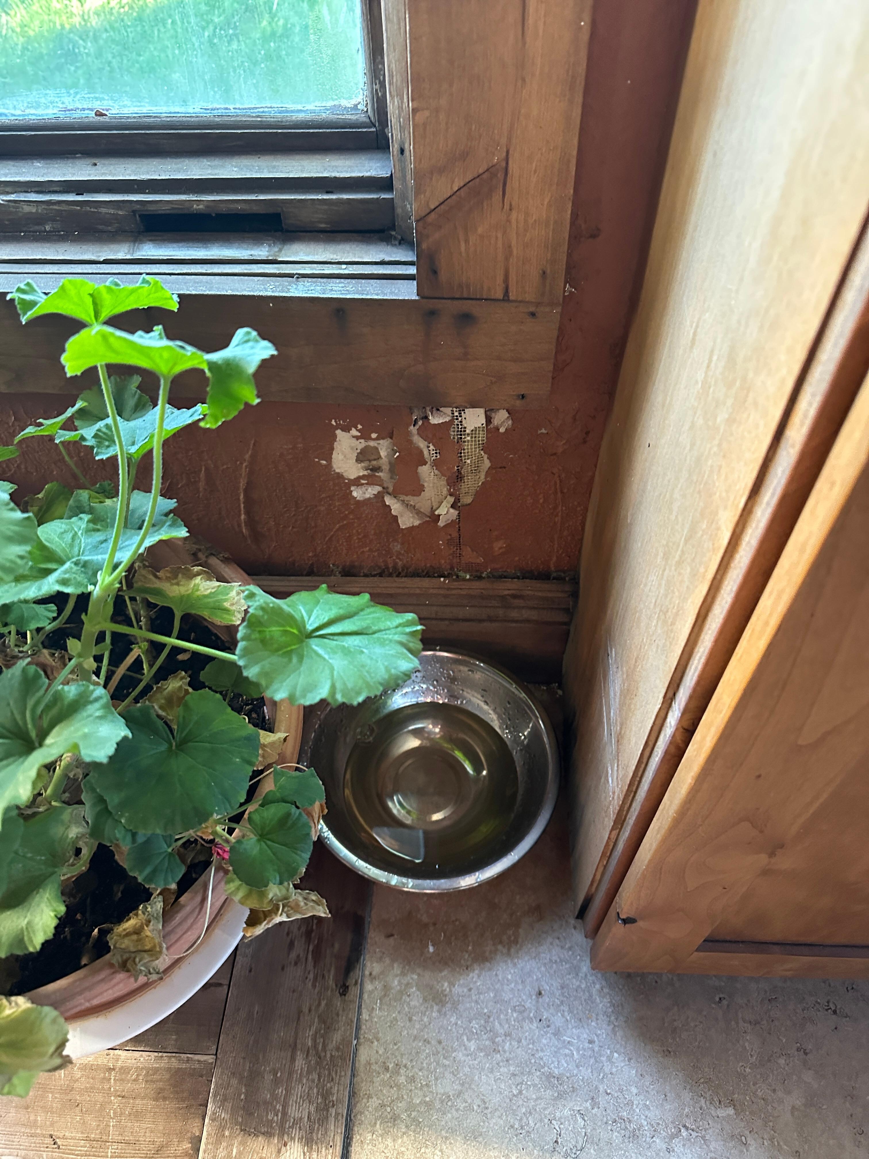Where water leaks