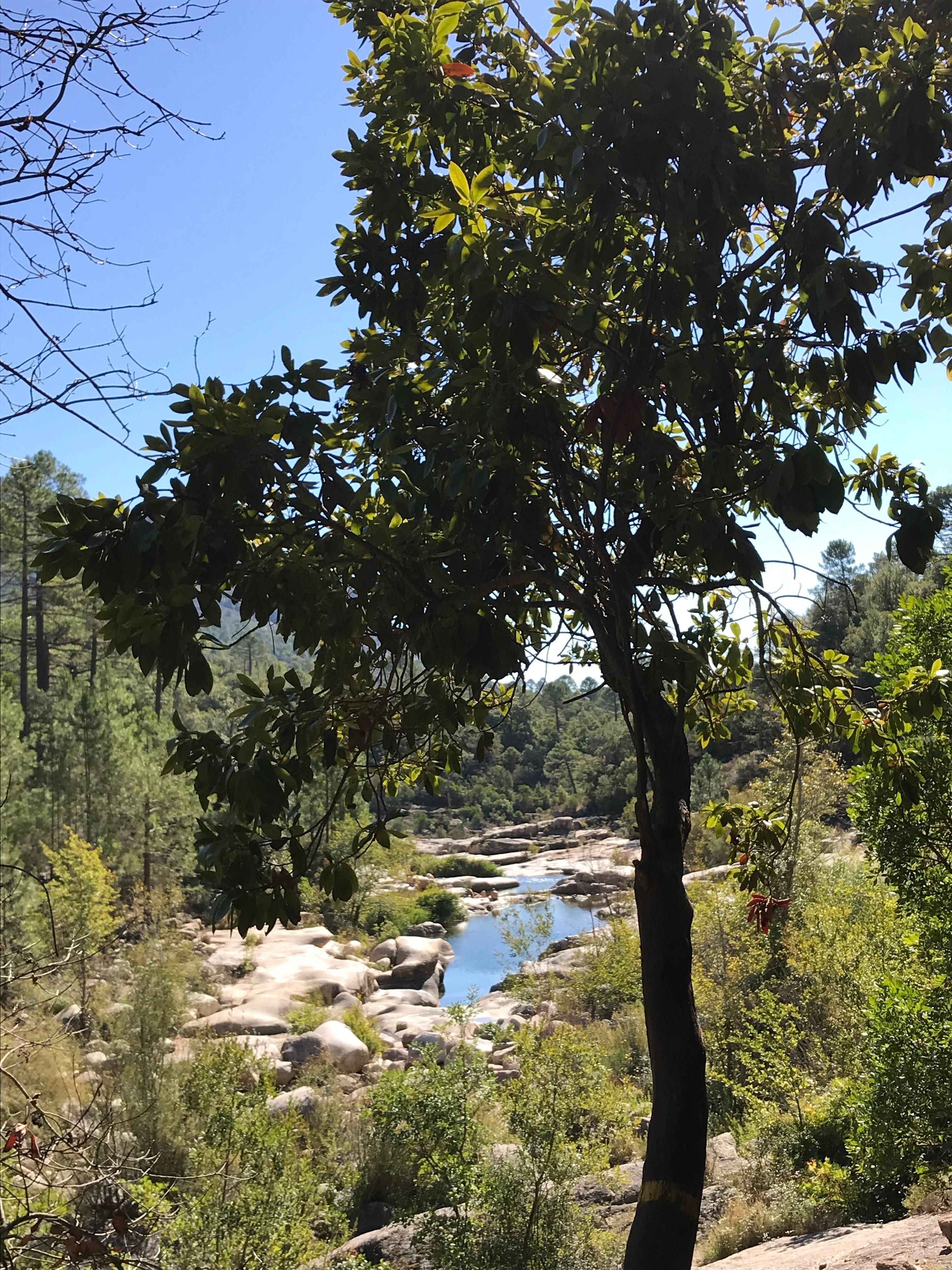 Tout proche vallée du Cavu , excellent lieux de détente et de randonnées.