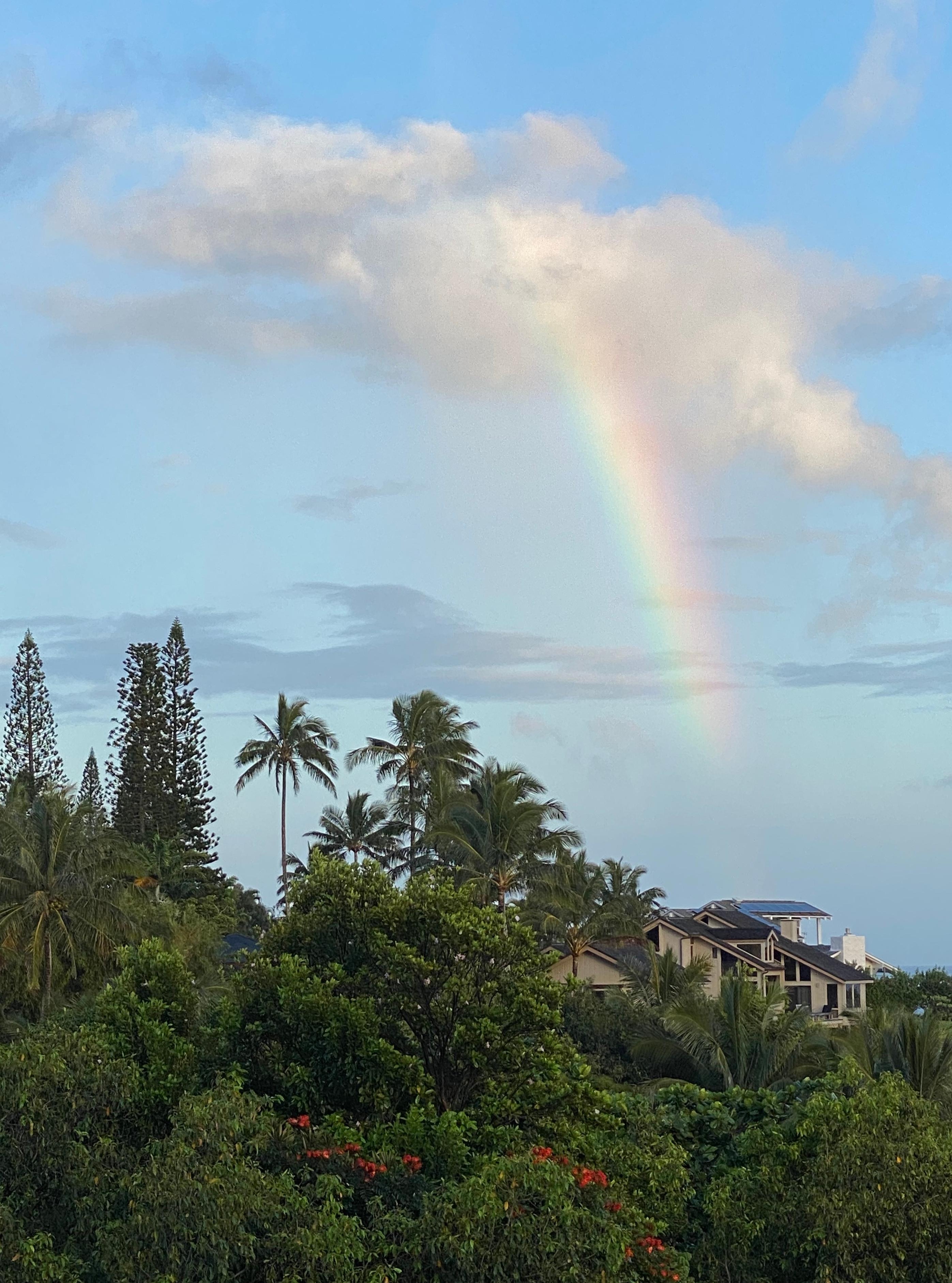 Rainbow view from balcony 