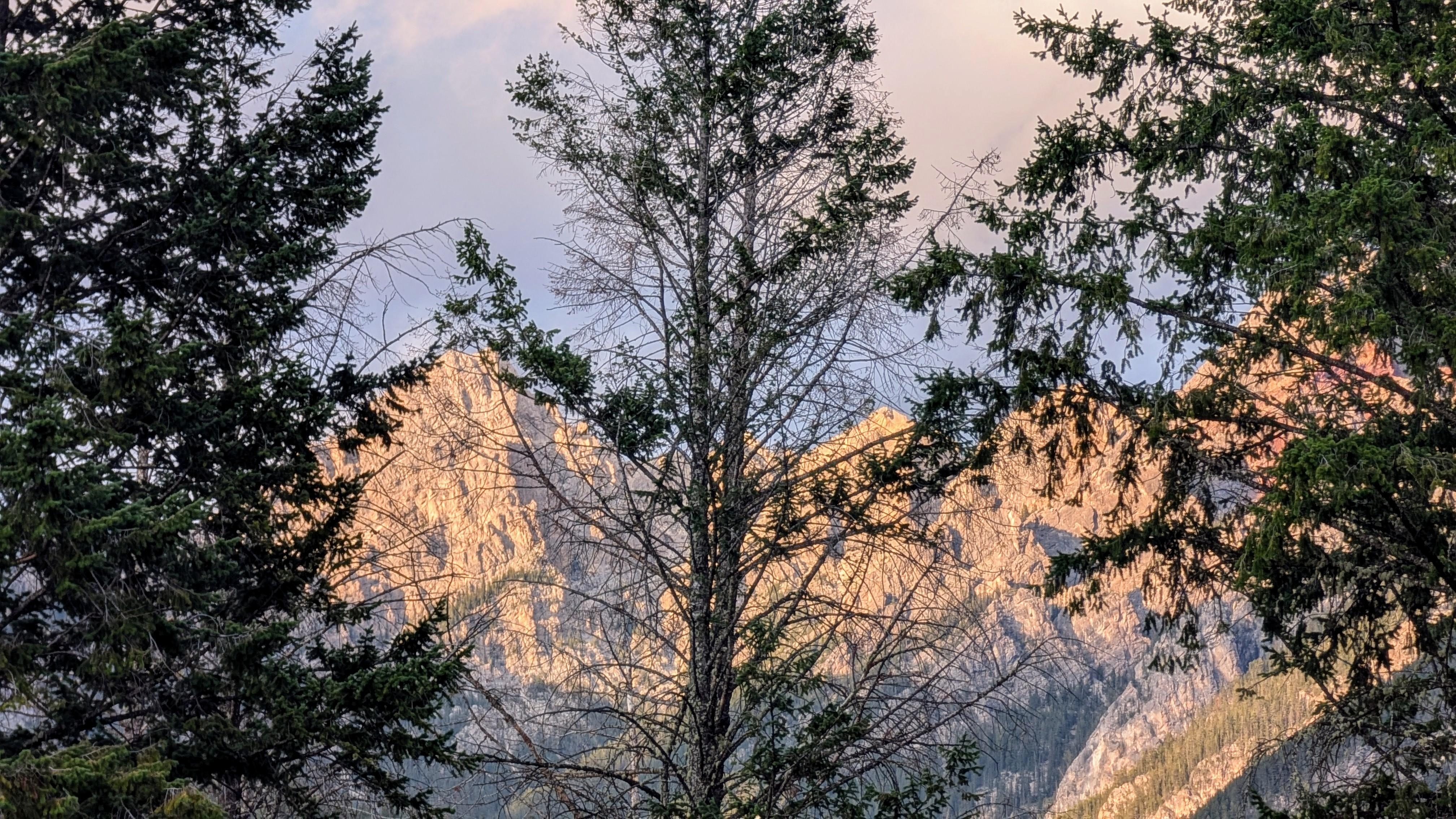 View from our cabin