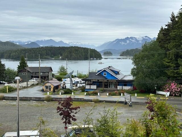 View from house