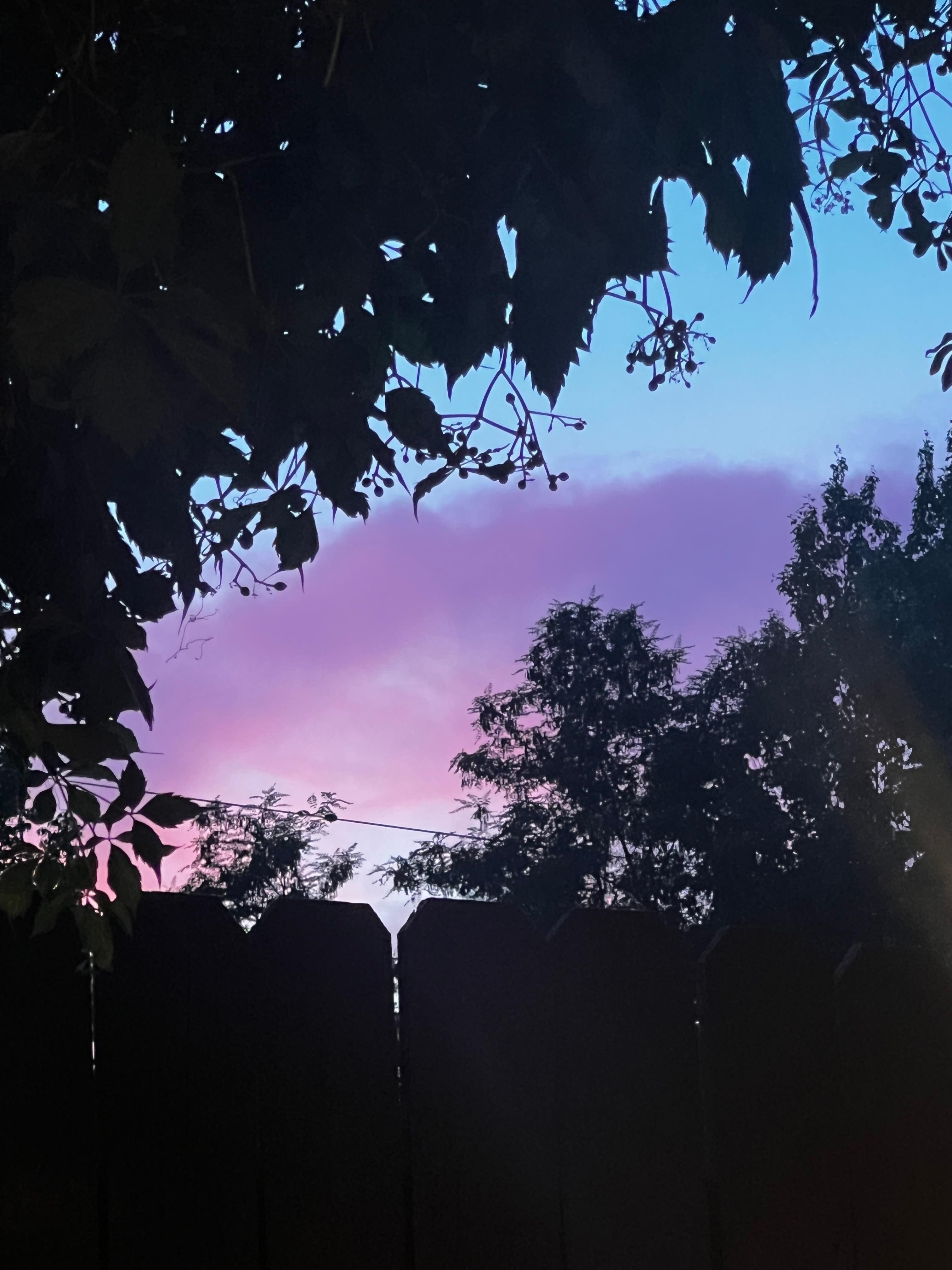 Vibrant sunsets 
