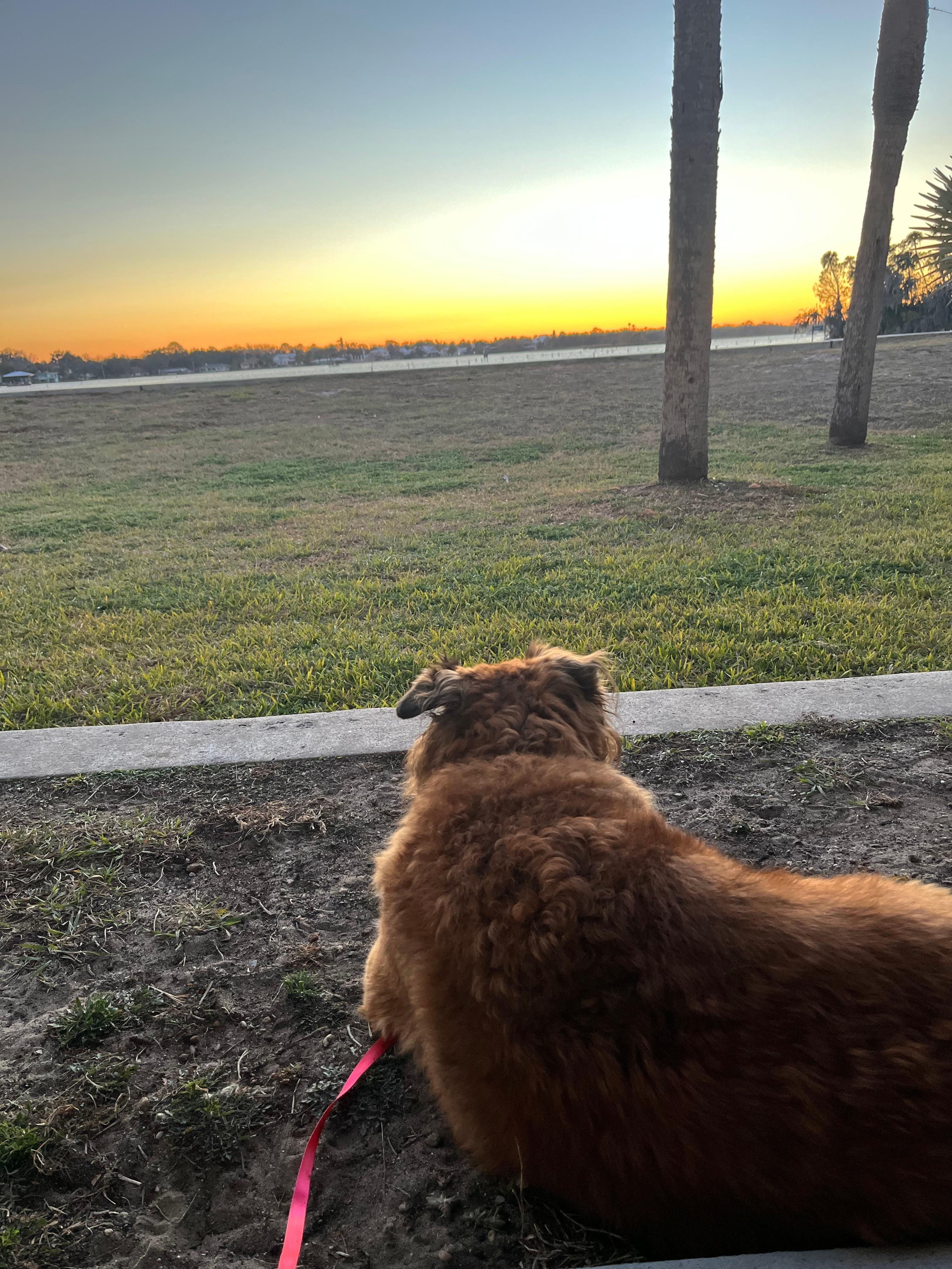 Our view watching the sunset! In the mornings got to watch the manatee and dolphin while sitting outside drinking coffee! Perfect!