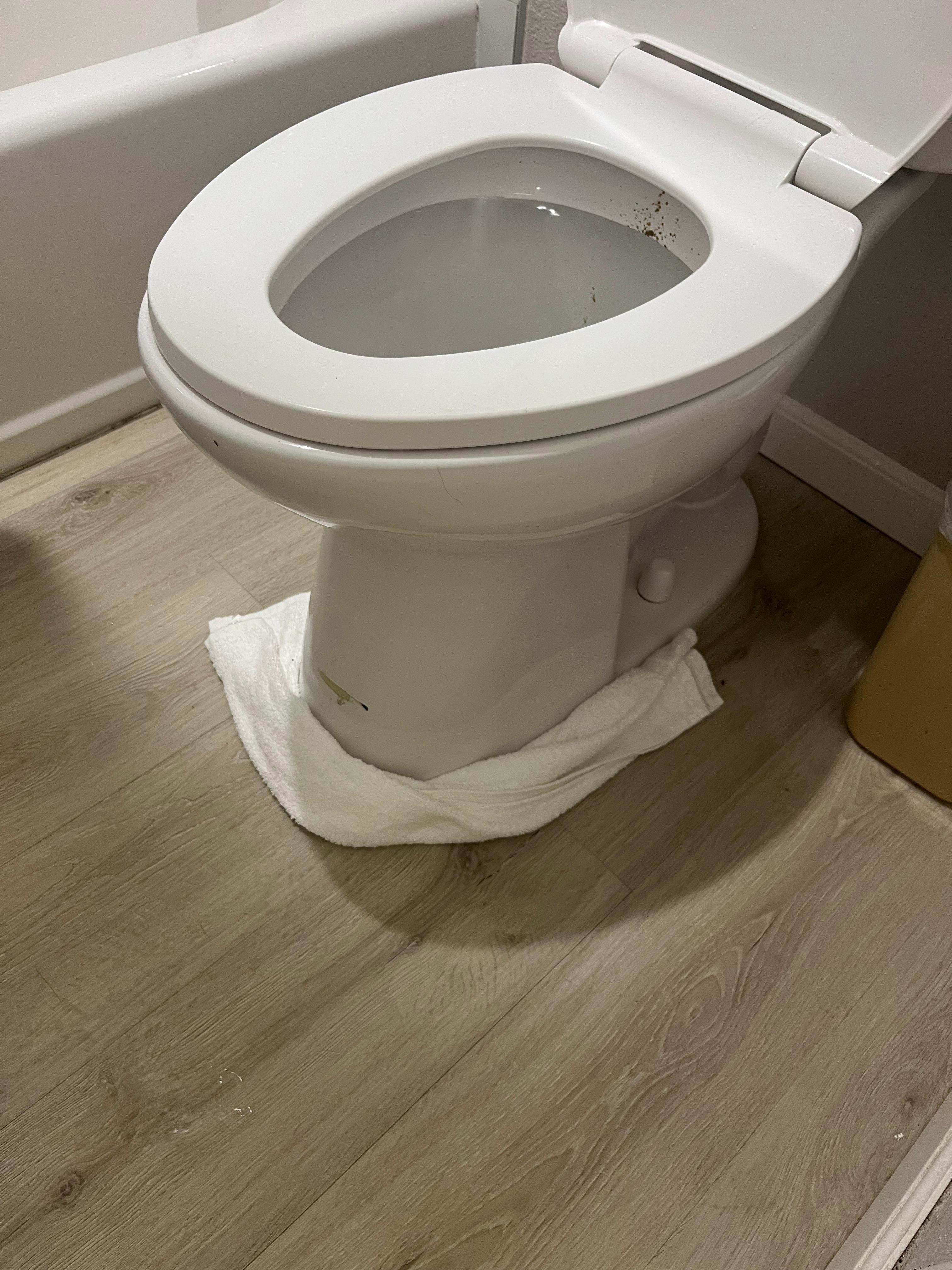Leaking toilet seal