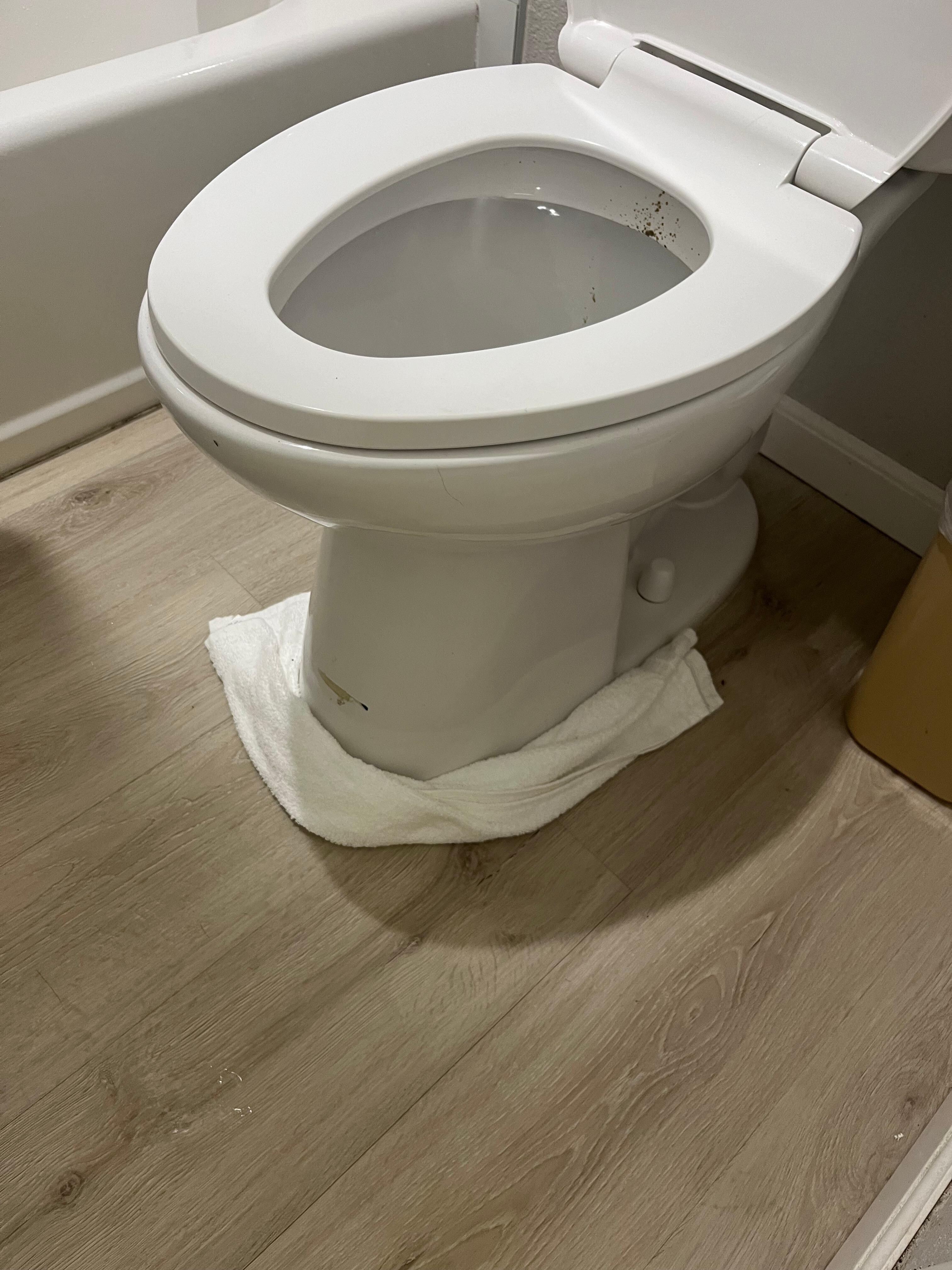 Leaking toilet seal