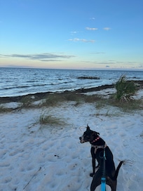 Beautiful beach, just a 10 minute walk from the house!
