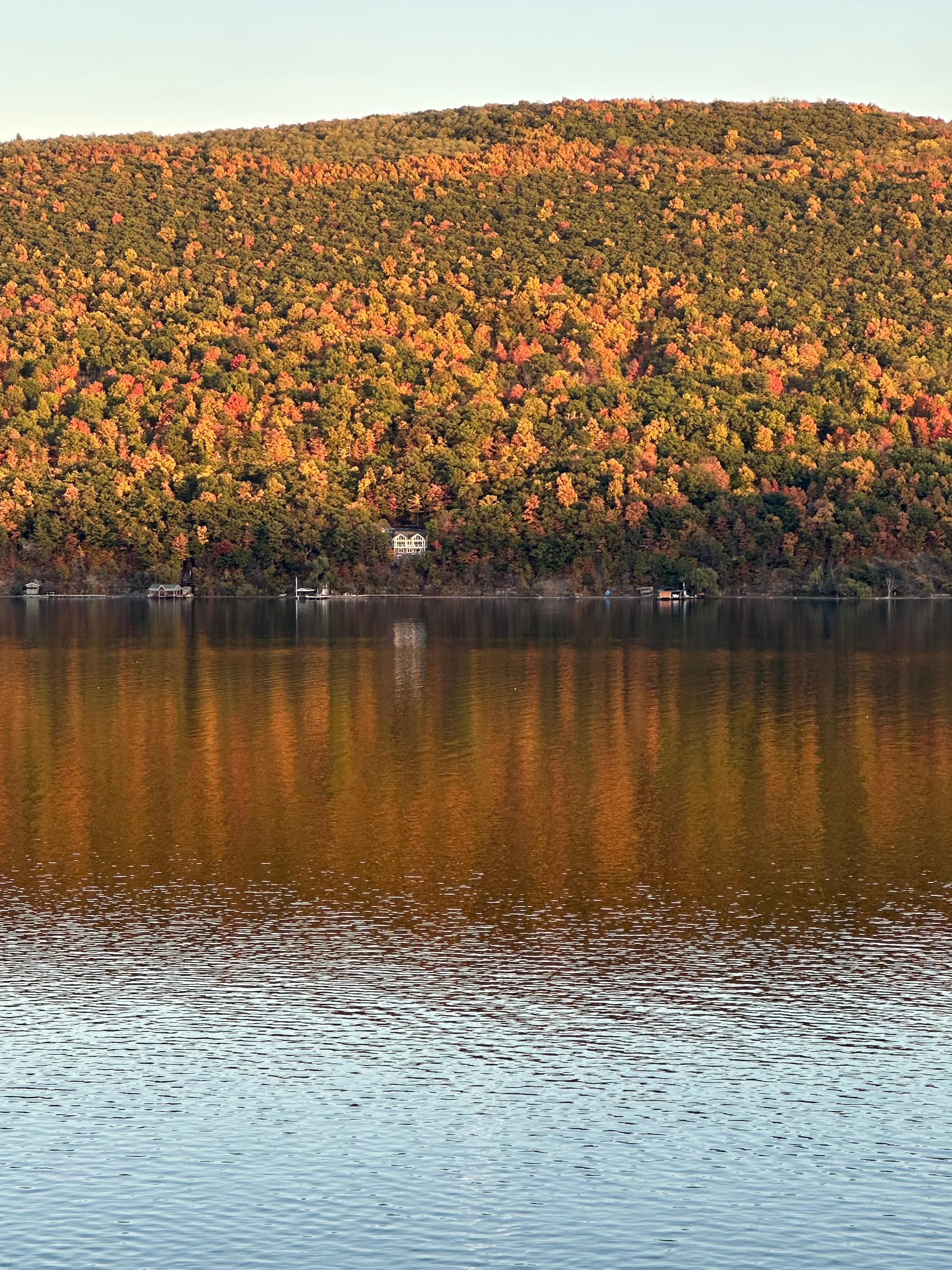 View from condo balcony