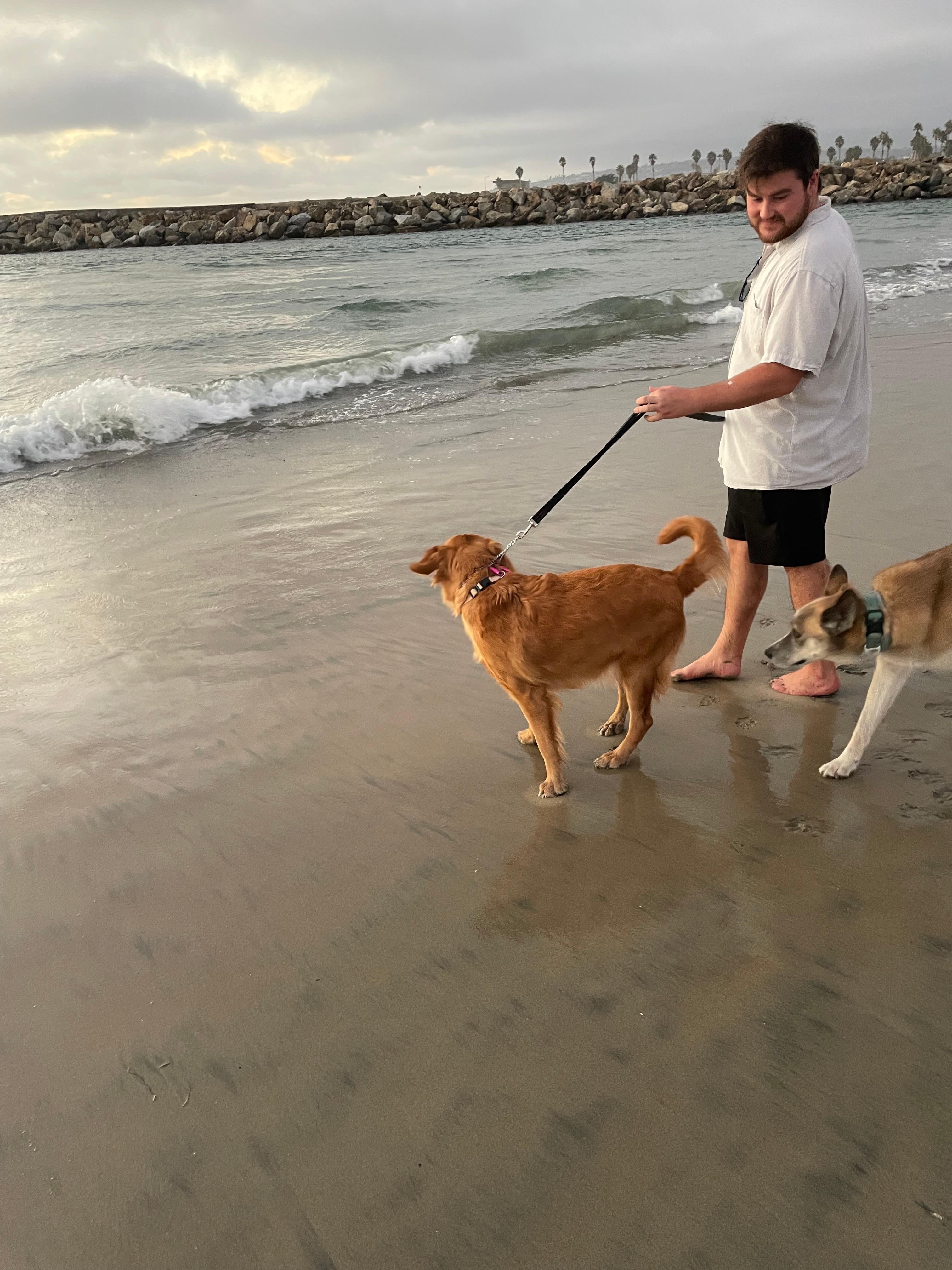 Ocean Beach Dog Beach - pup didn’t love the loud waves coming in - later found a quiet spot 