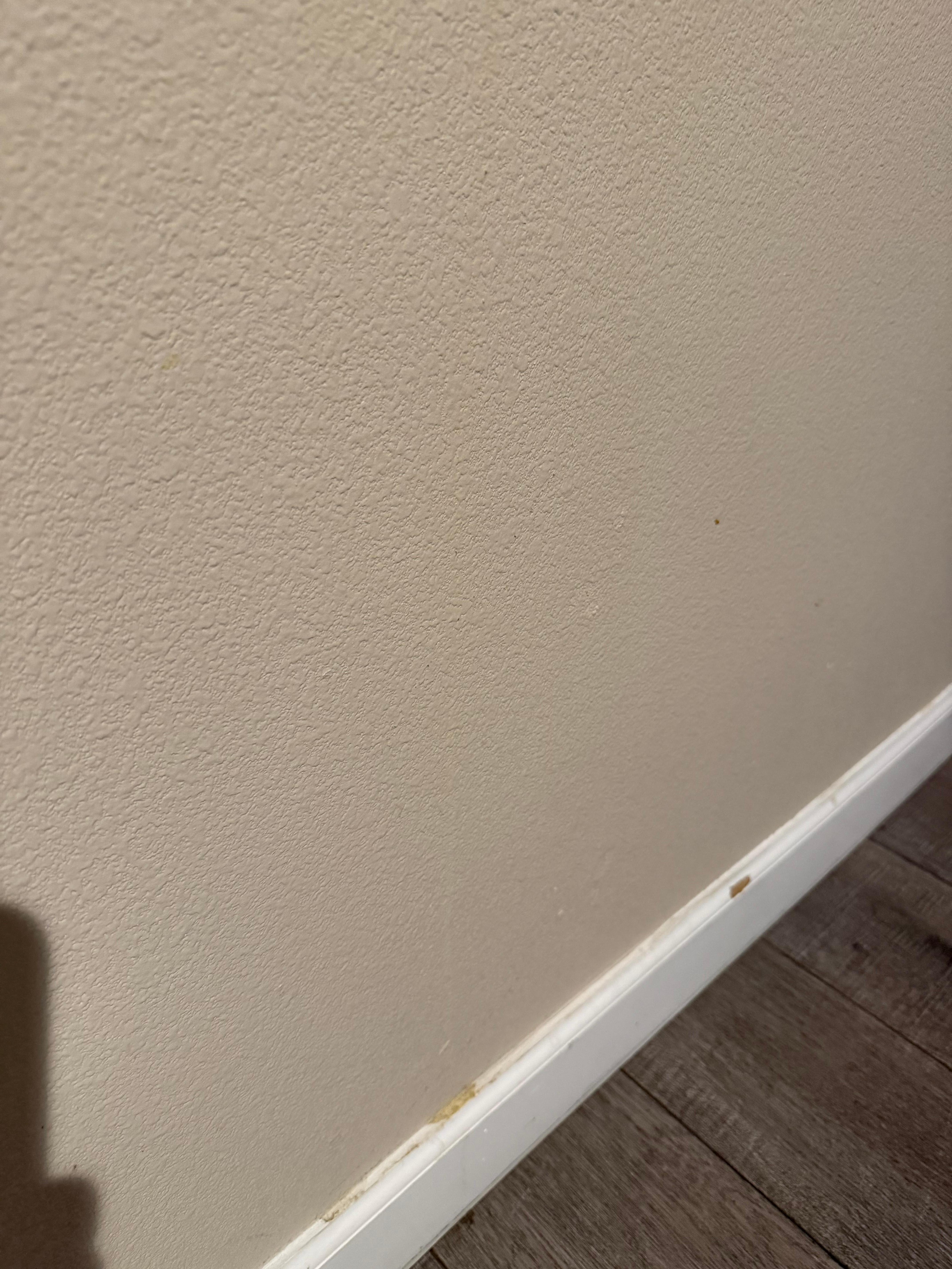 Stains on the wall