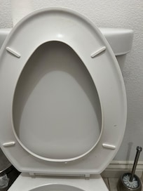 Feces on inner seat