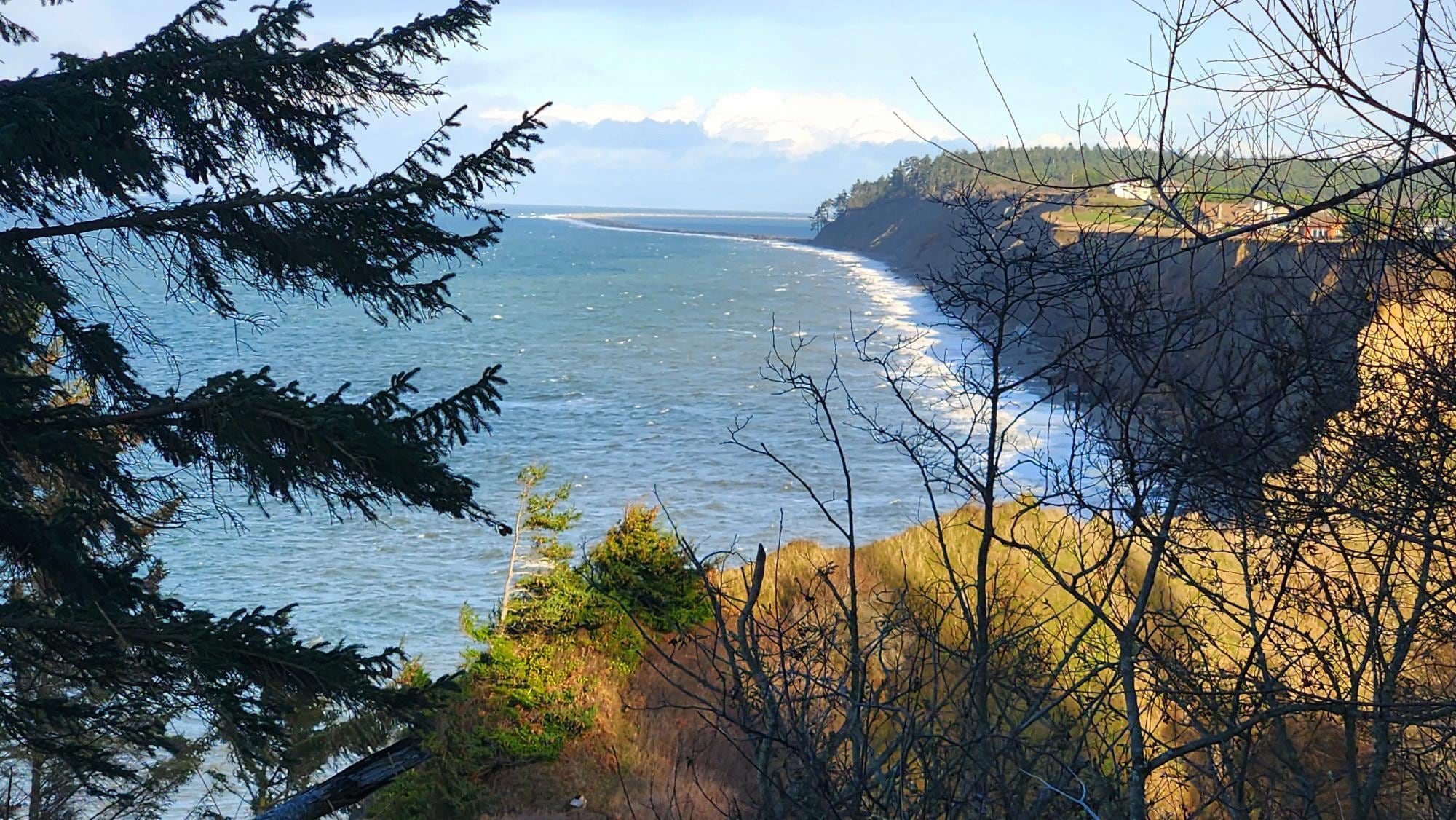 The view looking west to the Dungeness Spit from another of the lookout trails.
