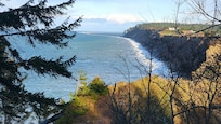 The view looking west to the Dungeness Spit from another of the lookout trails.