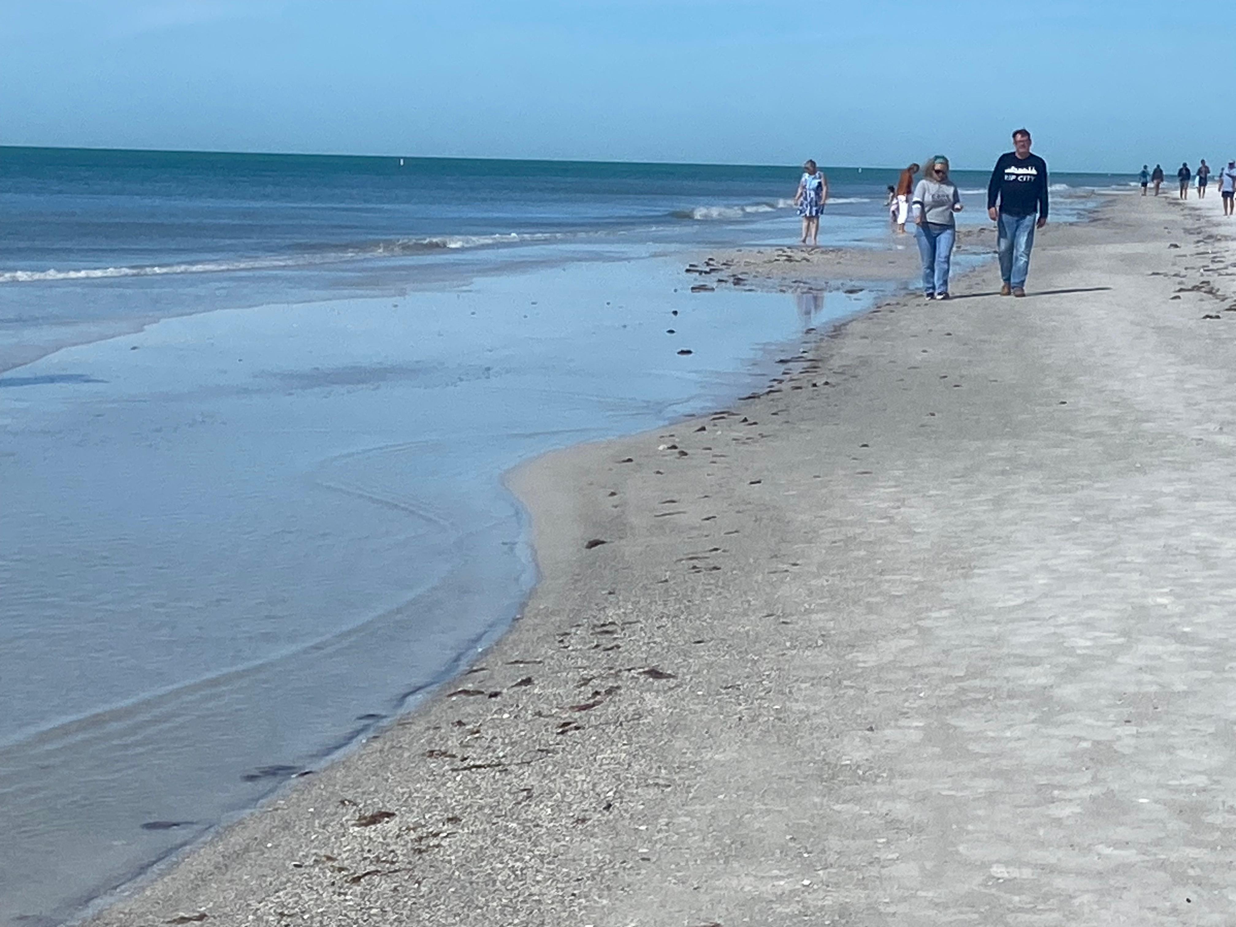 View north from the beach.