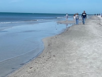 View north from the beach.