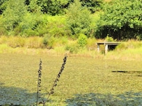 Der unbenutzbare See