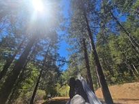 Enjoyed the hammock on property