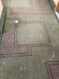 Paint on carpet - there were worse areas but was unable to photograph