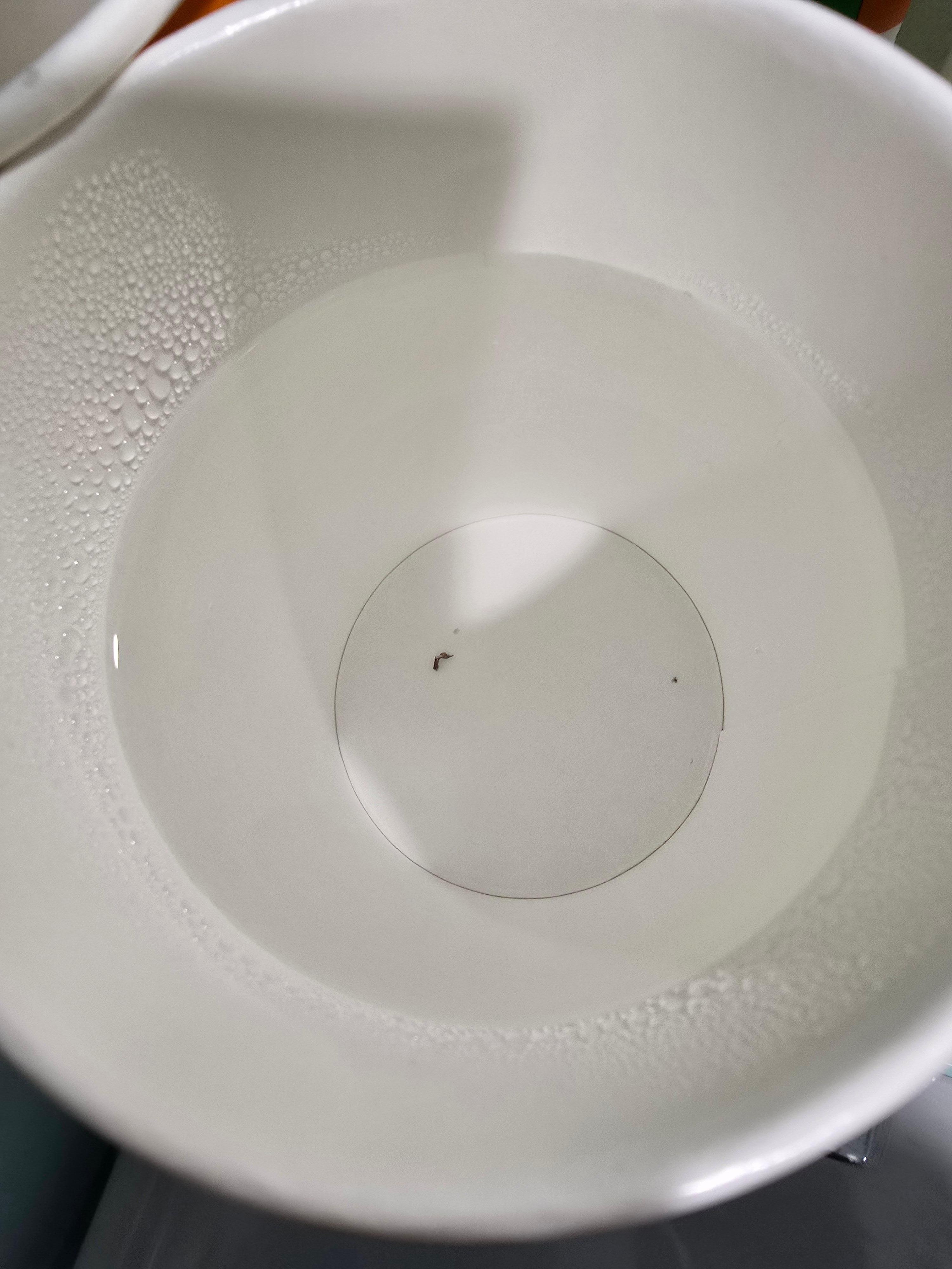 Floaty feom the hit water machine