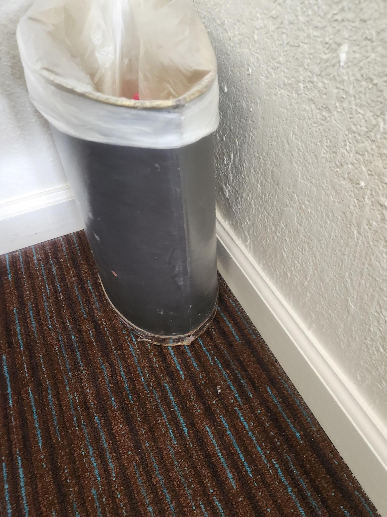 The trash can was rusted from water damage.The floor wasn't vacuumed