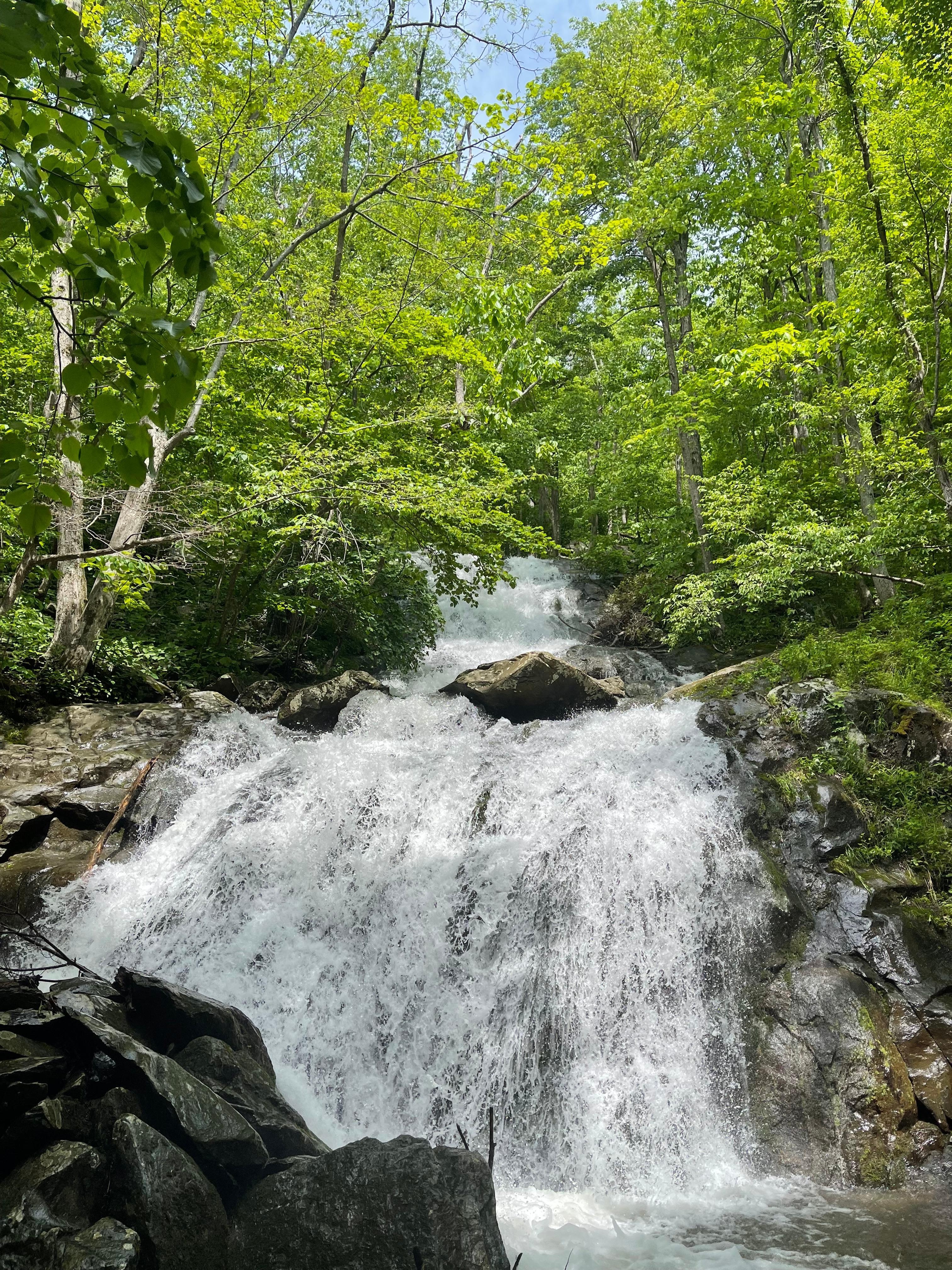 Nearby hike