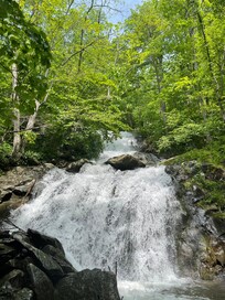 Nearby hike
