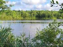 Our view from the deck of Lake House.
