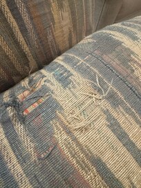 Crusty couch