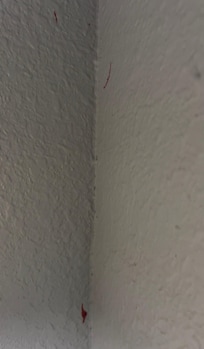 Bigs on wall crawling to ketchup on wall