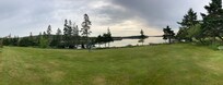 This is from walking around the grounds.