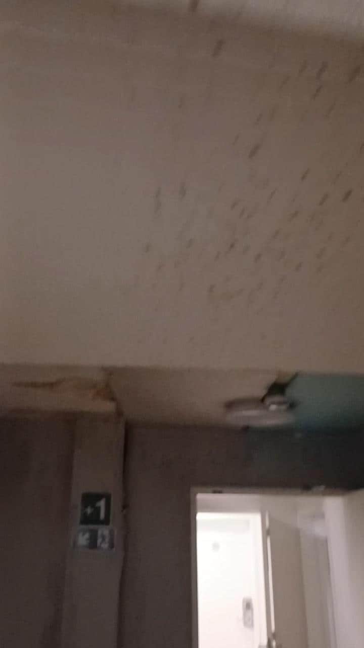 Mold on the walls 