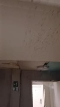 Mold on the walls