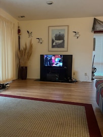 Unusable fire place.