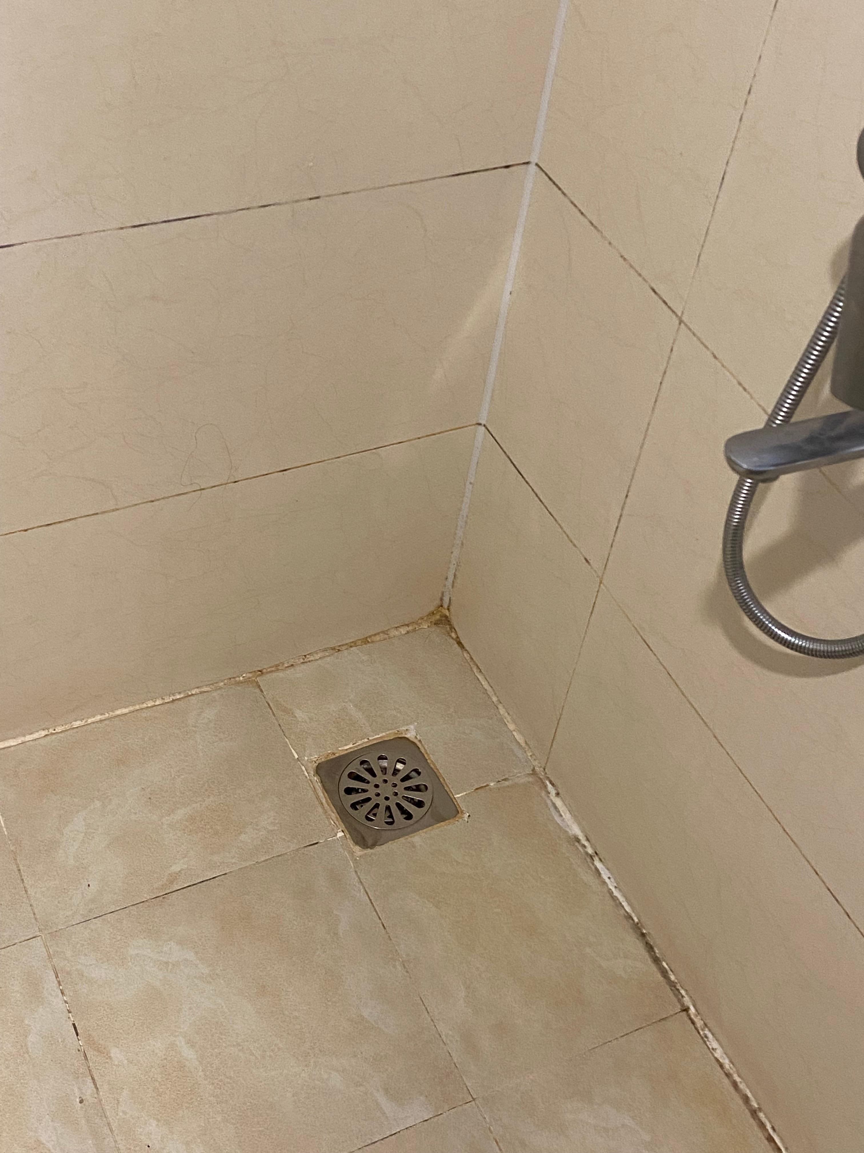 Mildew in the bathroom